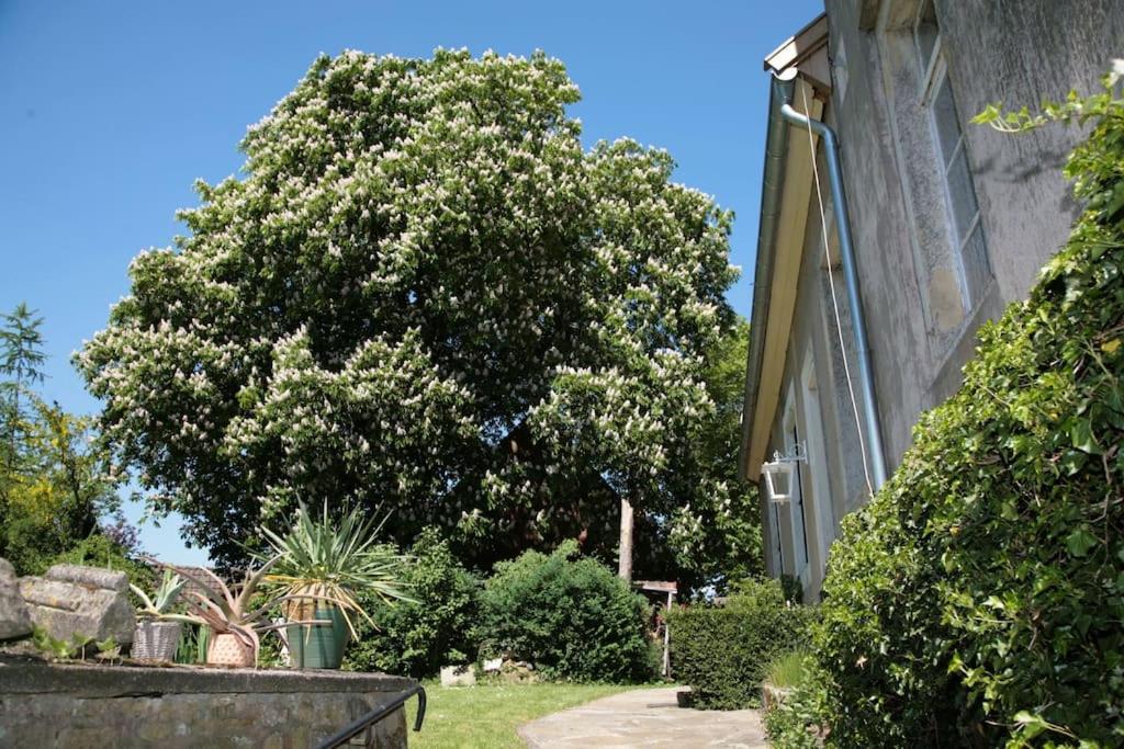 شقة Haus Keppelborg: Zi Antonia Mit Kirchplatzblick Heek المظهر الخارجي الصورة